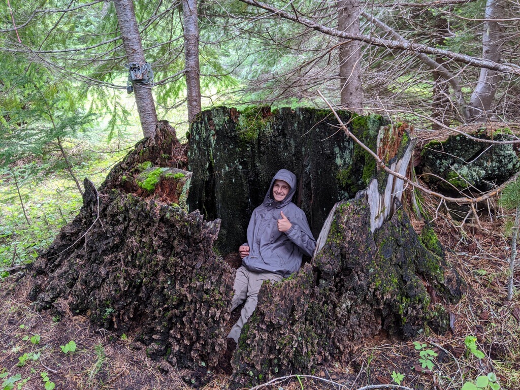 Nate in a stump