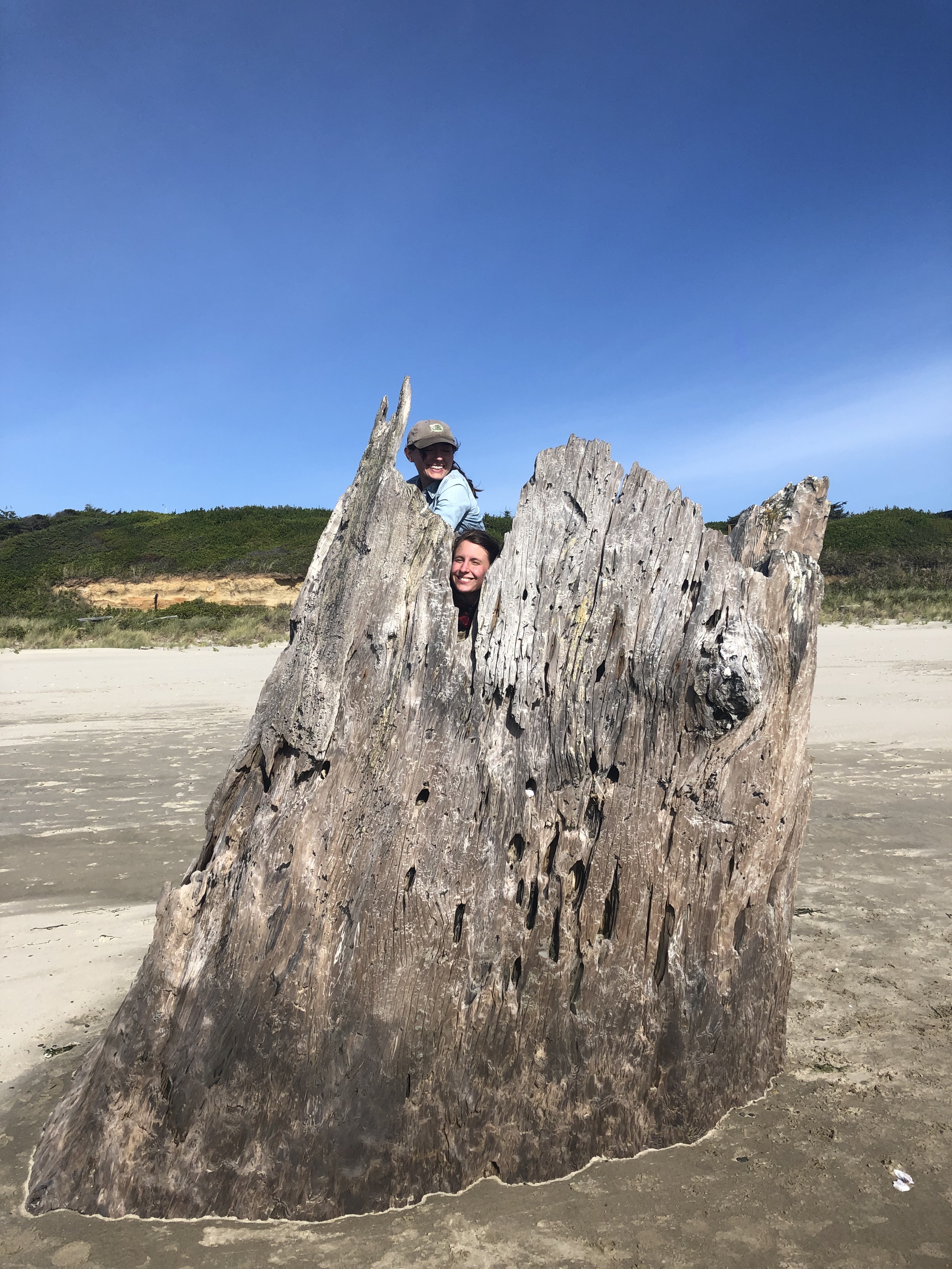 Amanda and Laura in a stump