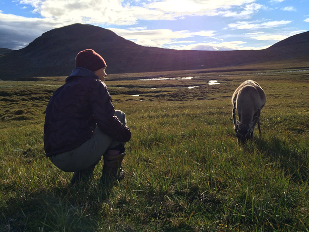 Photo of a close encounter with a reindeer