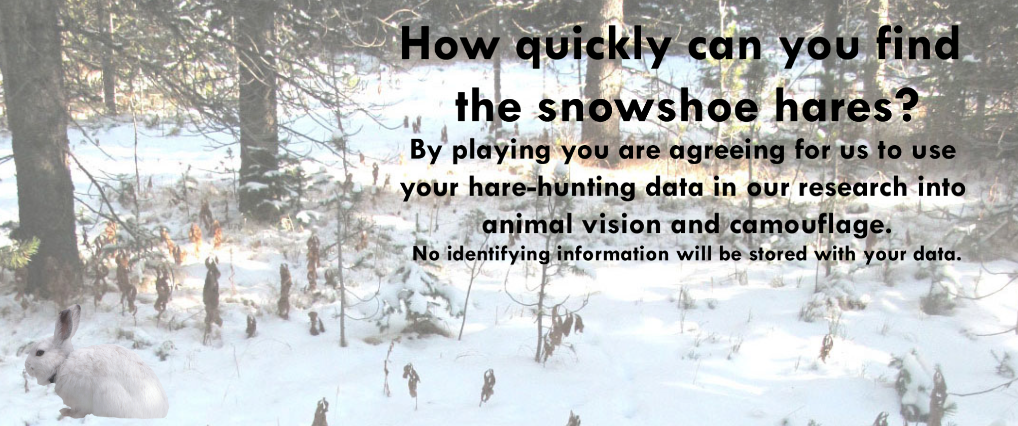 Graphic used for the video game