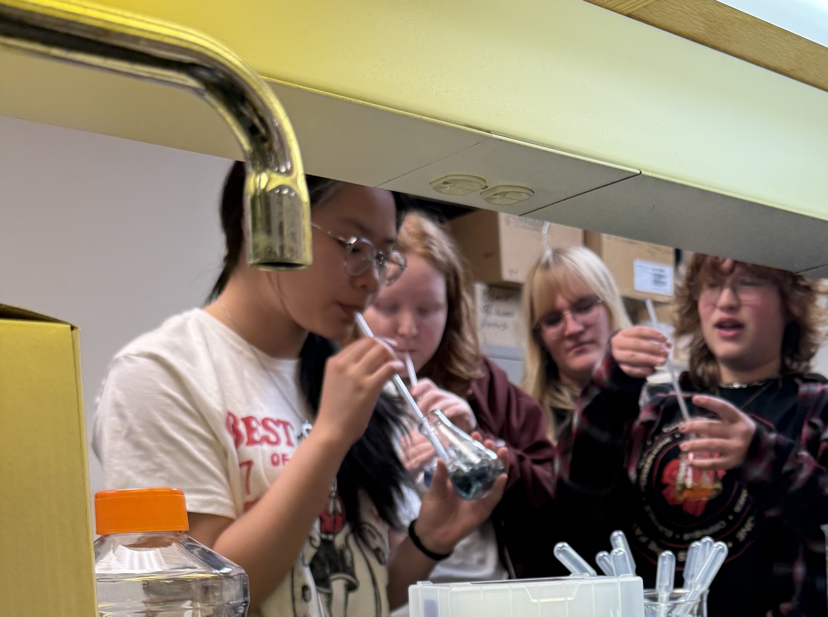 Sentinel High School students interactively learning about pH indicators