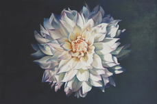 Illusion Marilyn Bruya