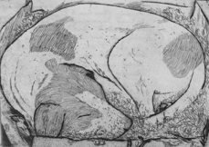 Sleeping Pointer by Branson Stevenson