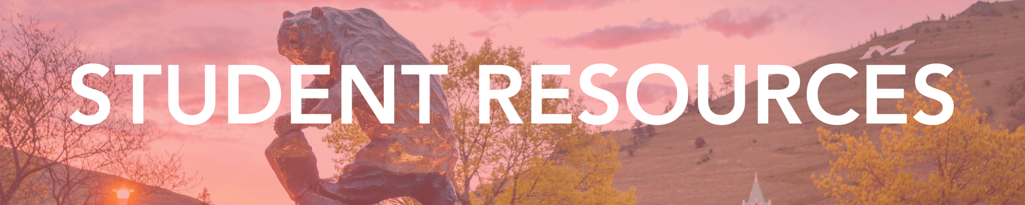 student resources banner