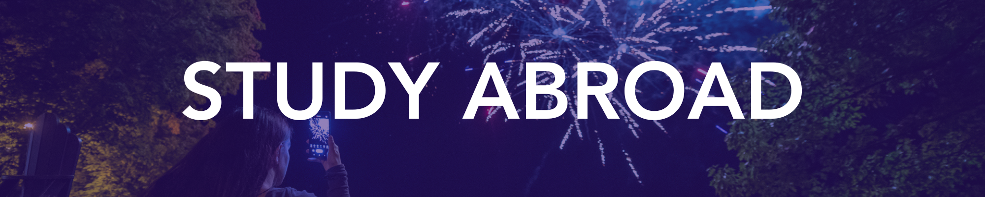 study abroad banner