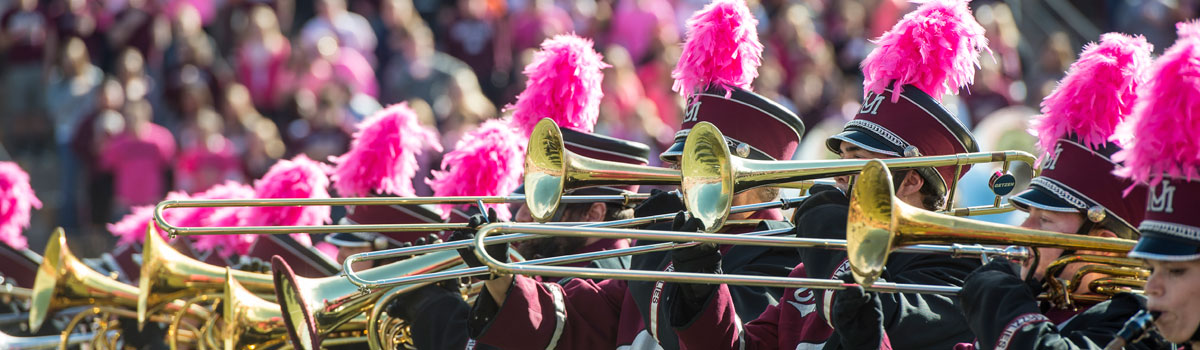Photo of the grizzly marching band playing instruments