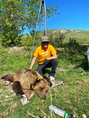 Landon Magee, Blackfeet Tribal member and graduate of the Wildlife Biology Program in the Franke College of Forestry and Conservation.
