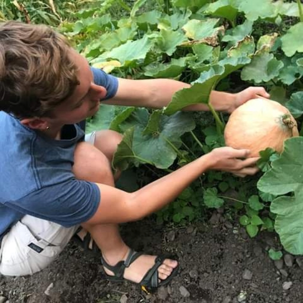 Elani Borhegyi holds a squash on the vine.