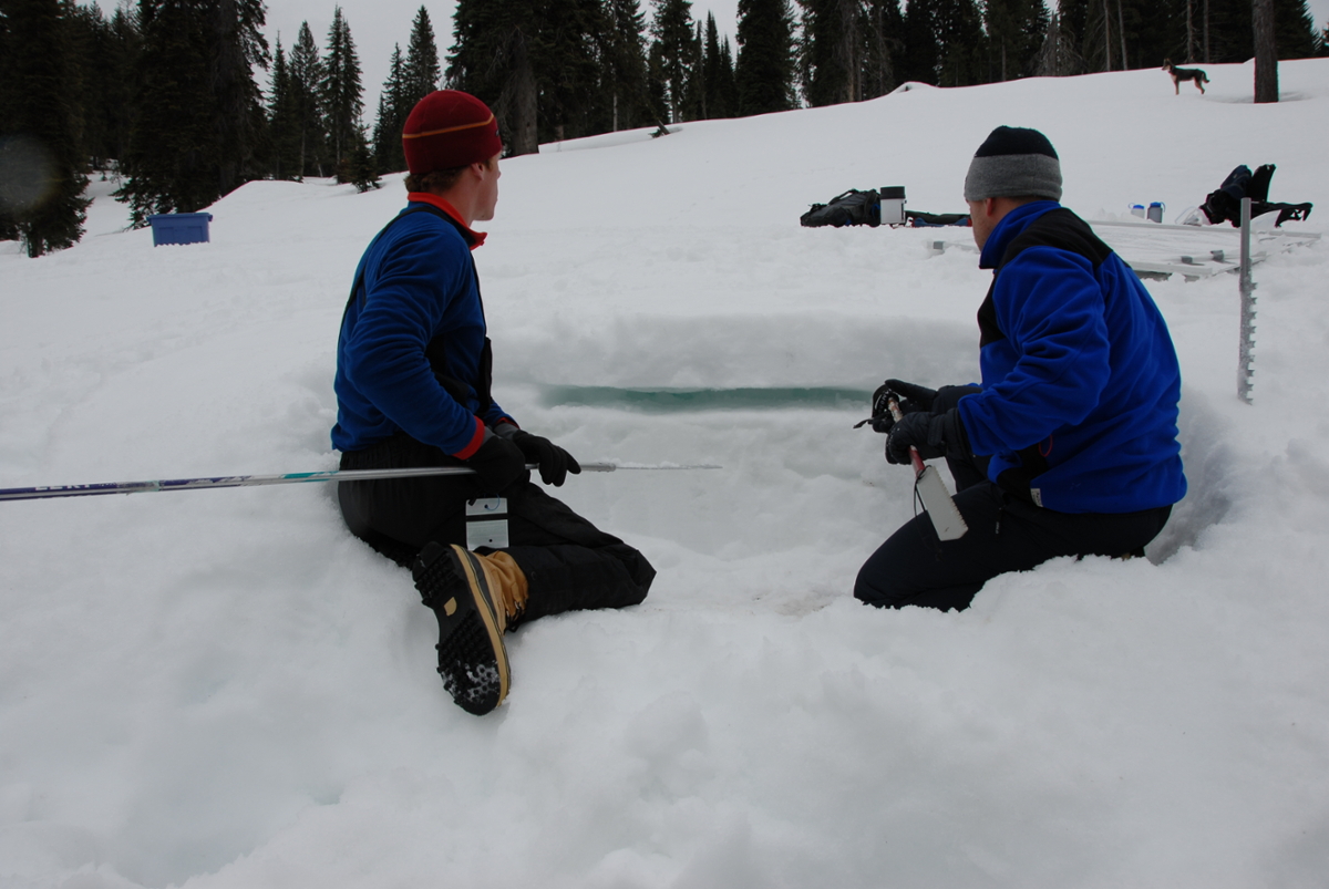 Scientists cutting into ice
