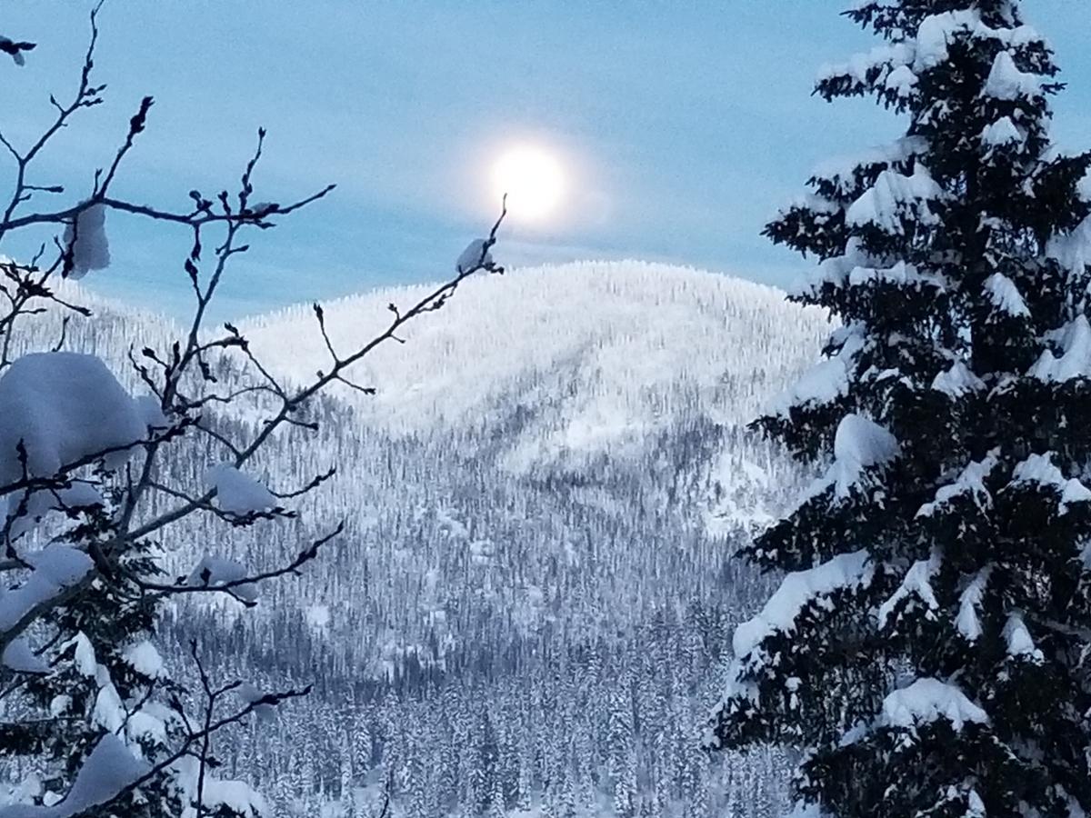 snow covered mountain
