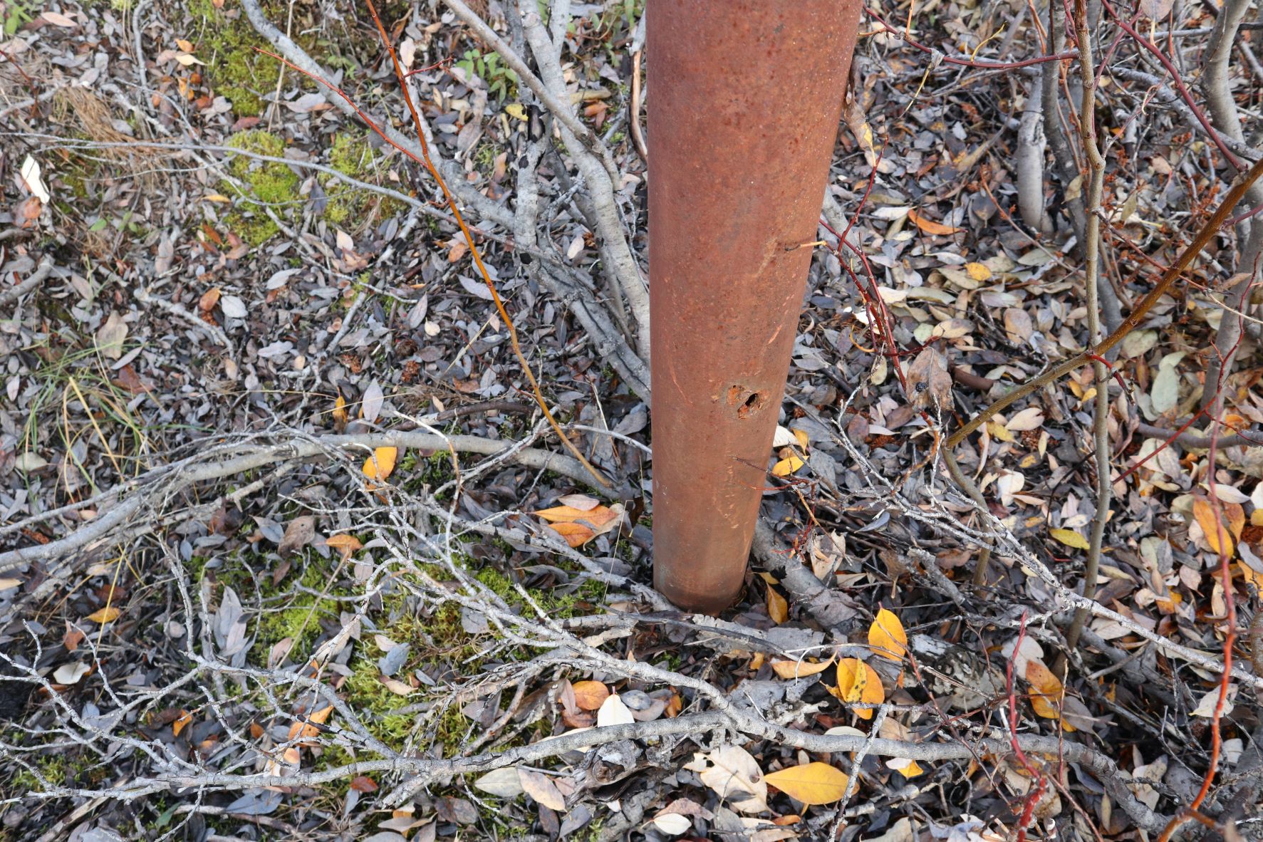 picture of well base