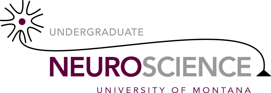 undergraduate neuroscience university of motnana logo