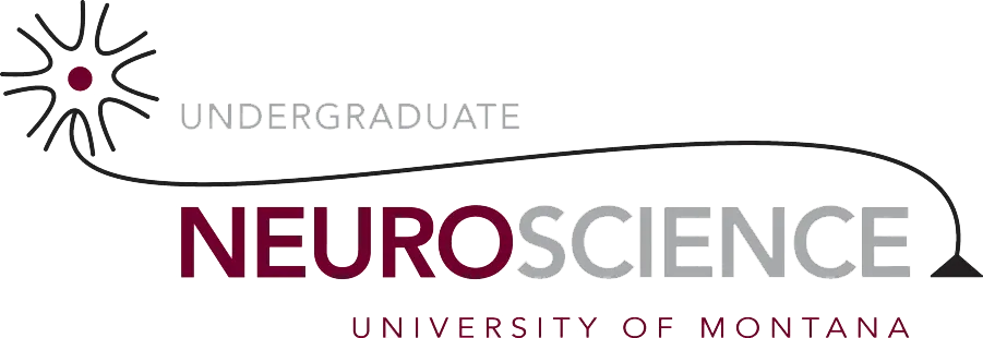 University of Montana Undergraduate Neuroscience logo with a stylized neuron and a curved line.