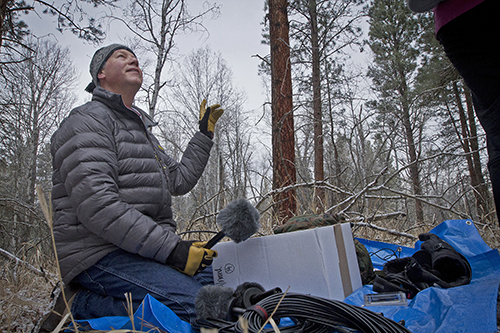 UM Professor Erick Greene conducts research in the forest