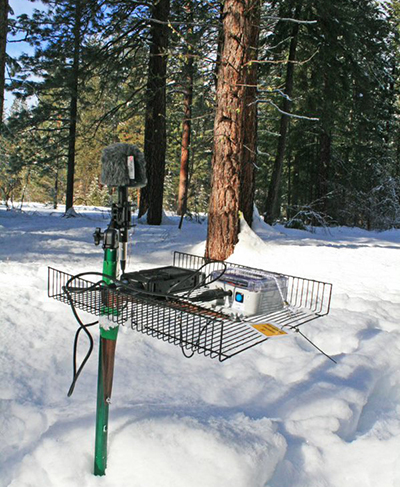 Research equipment sits in the forest