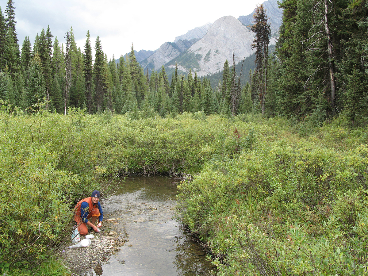 Photo of researcher test river water