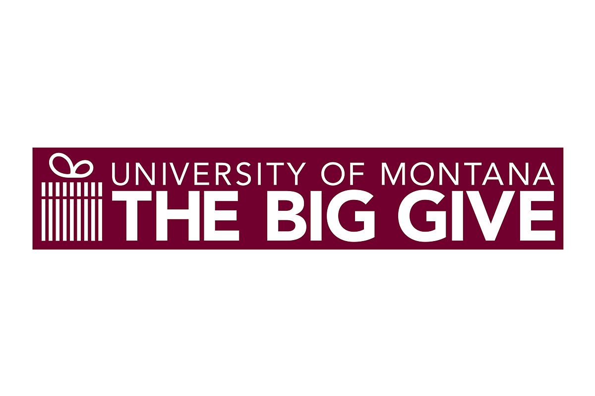 The Big Give logo