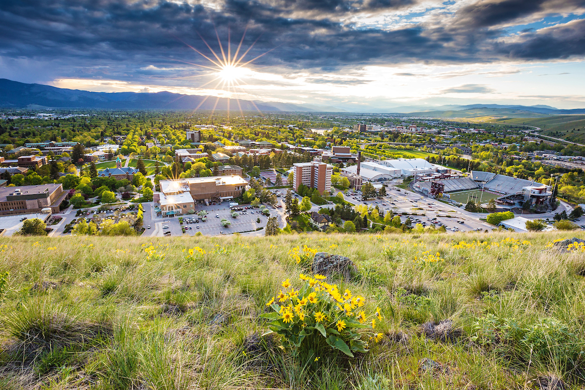 This is a default image of the view of Missoula from Mount Sentinel with flowers in the foreground 
