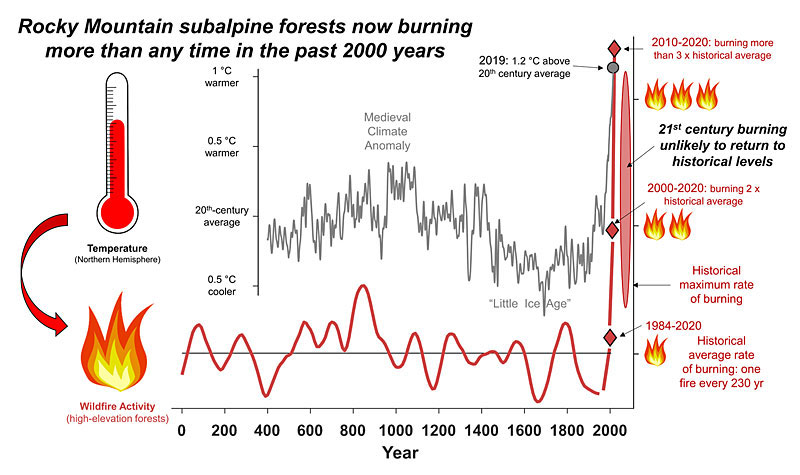 A graphic that illustrates the growth in burning of subalpine Rocky Mountain forests.