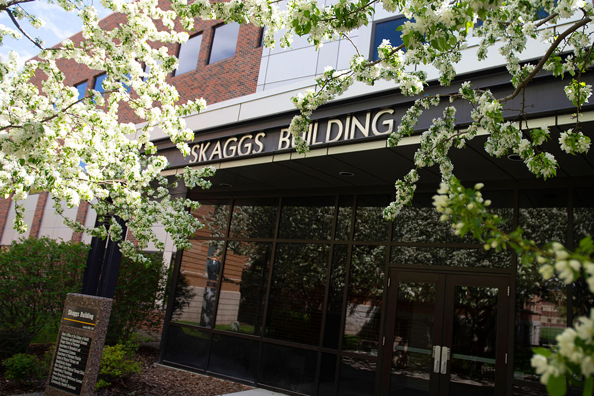A picture of the Skaggs Building