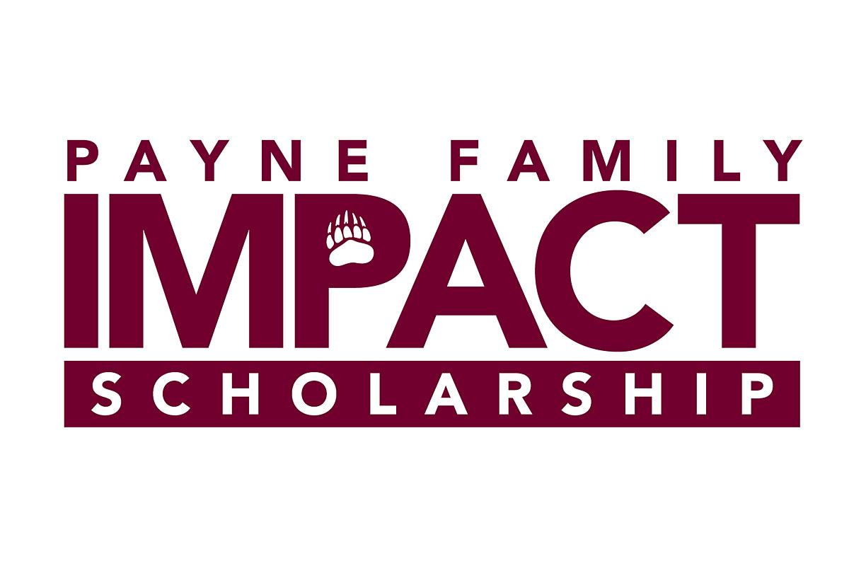 The Payne Family Impact Scholarship word logo