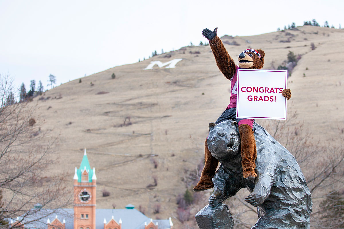 Monte holds a sign saying "Congrats Graduates" while sitting on UM's signature Grizzly Bear statue.