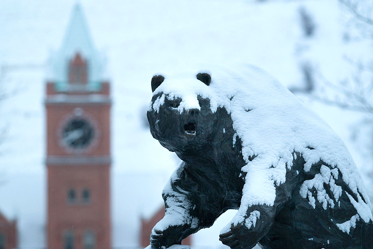 Snow coats the Grizzly Bear statue before Main Hall.