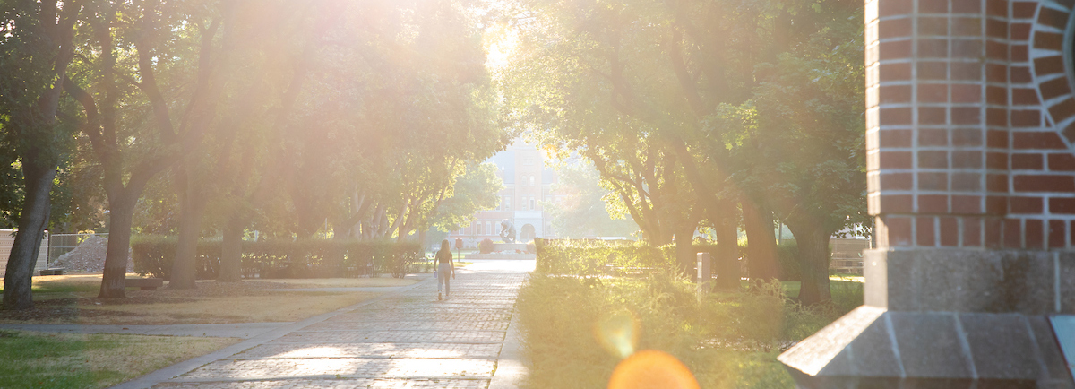 The UM campus in sunlight 