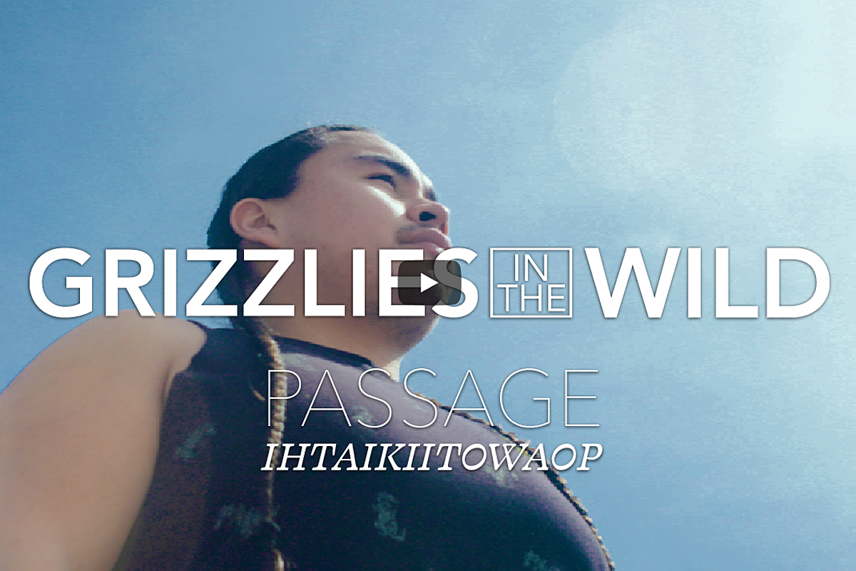 A cover image of the Grizzlies in the Wild video featuring Zachariah Rides At The Door.