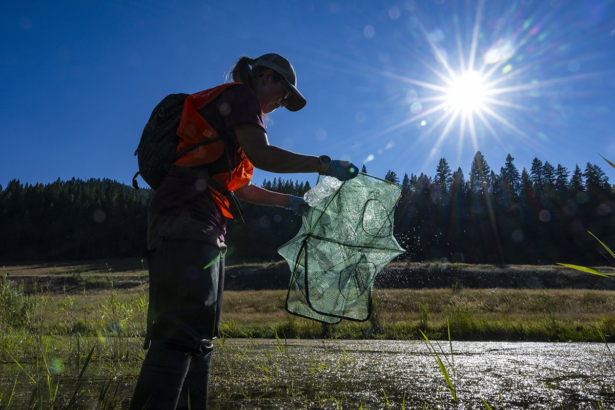 Photo of Mackenzie Weiland