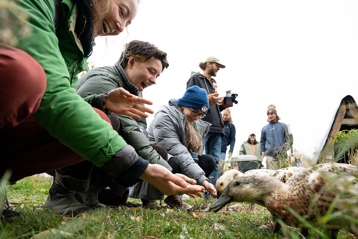 UM students feed ducks