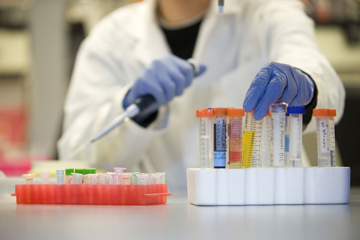 A picture of hands working in a lab.