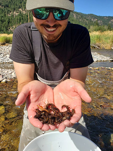 UM graduate student James Frakes holds handfuls of salmonflies.