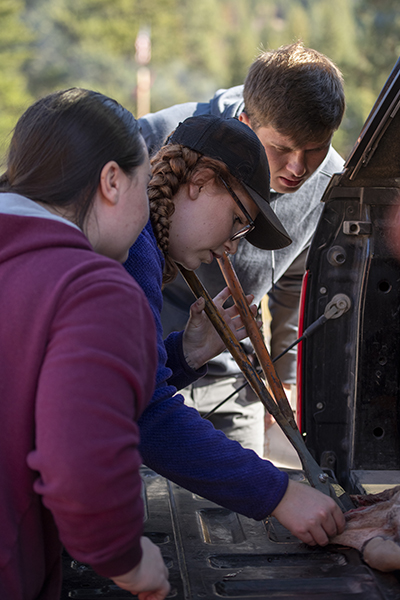 Photo of students checking deer teerth