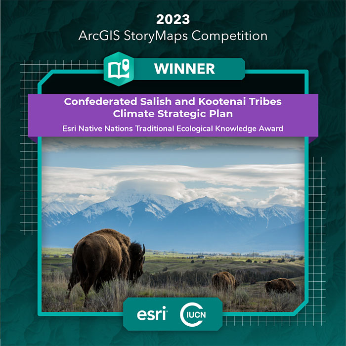 This says, Winner: Confederated Salish and Kootenai Tribes Climate Strategic Plan with a picture of a bison grazing below the Mission Mountains.