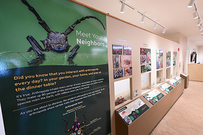 Learning stations at the insectarium