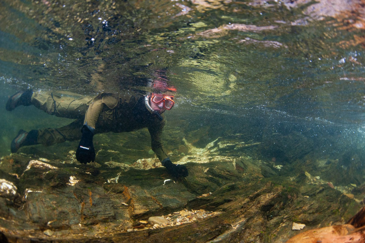 UM student Jacob Steinle snorkels Rattlesnake Creek near Missoula.