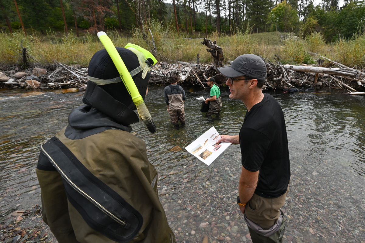 Andrew Whiteley uses a viewing bucket to look at a rainbow trout while surveying Rattlesnake Creek with a class.