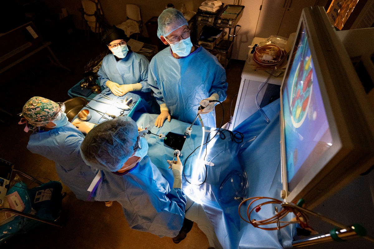 Students participate in a Surgical Technology class at Missoula College