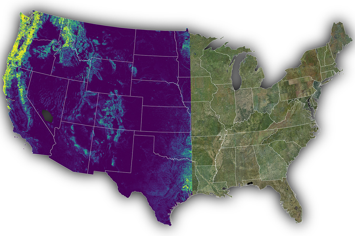 UM Scientists Unveil Free Product That Maps Trees, Shrubs Across Entire Country