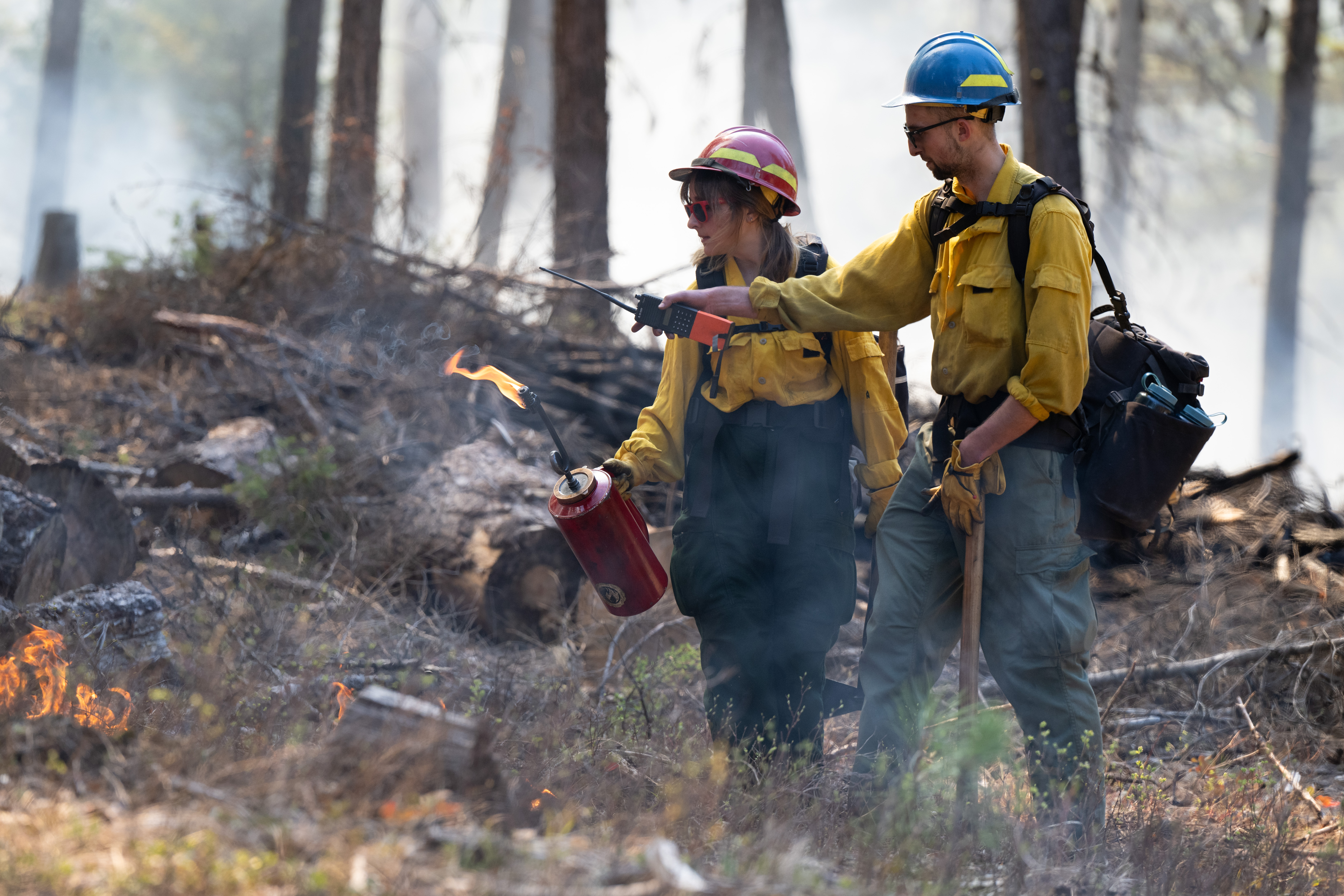 UM students talk during a prescribed burn 
