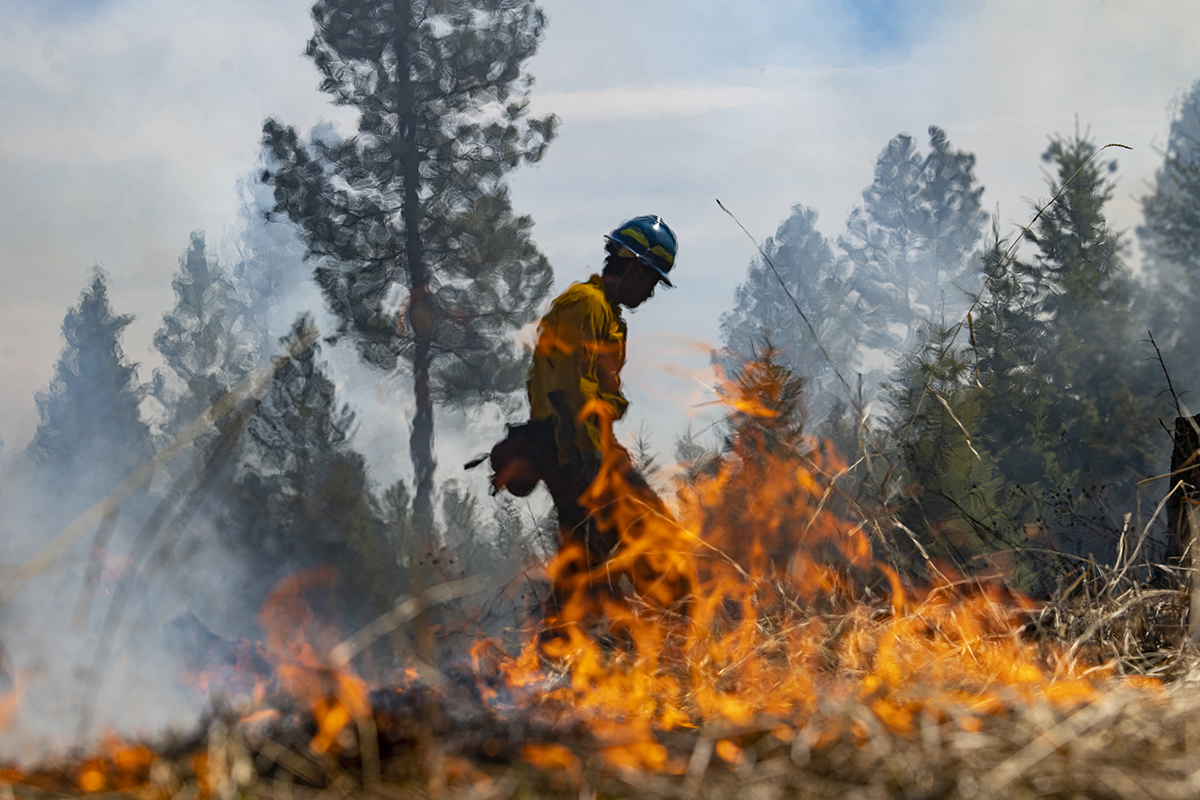 A firefighter walks alongside a wildfire against bright orange flames.