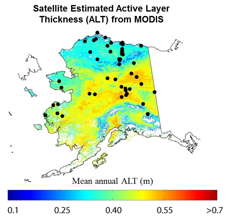 Satellite Estimated Active Layer Thickness from MODIS