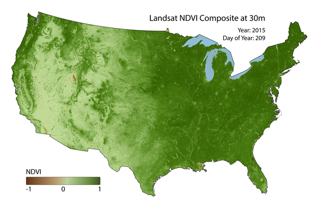 Image of US Landsat NDVI Map