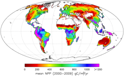 MODIS Mean NPP 200-2008
