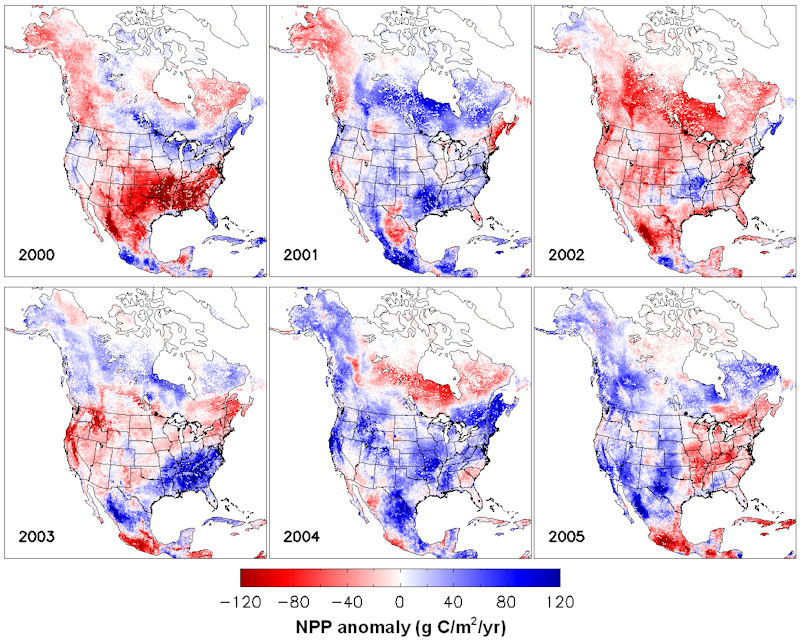 Global Interannual variability in NPP from 2000 to 2005