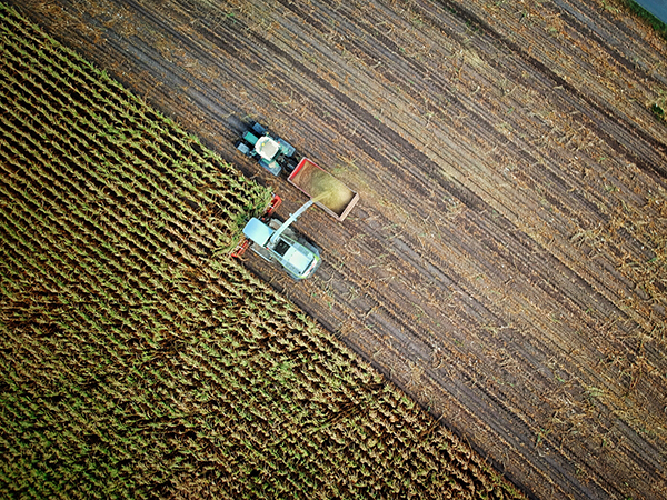 Farming photo from Unsplash  images posted by: no one cares