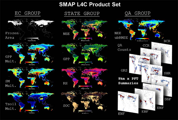 SMAP L4C Project Set