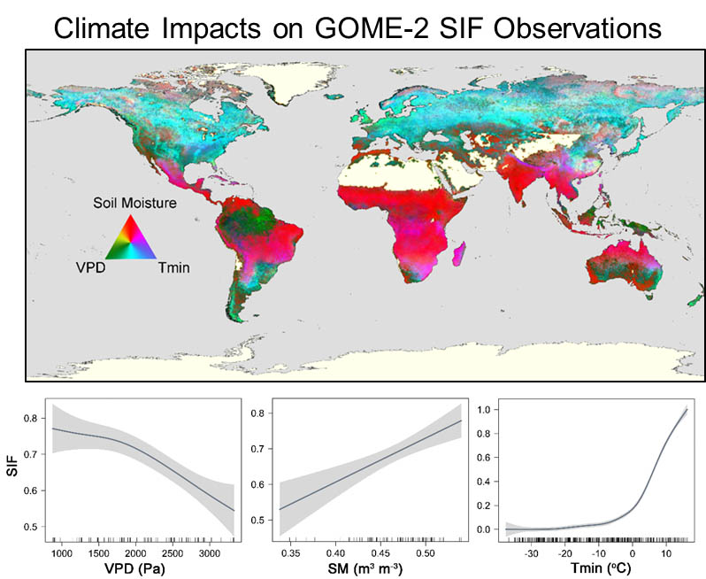 Climate Impacts on GOME-2 SIF Observations