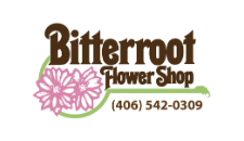 bitterroot-flower.png